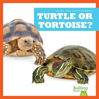 Tortue ou tortue ? - Turtle or Tortoise?