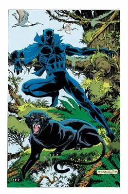 La Panthère Noire : La Quête de la Panthère - Black Panther: Panther's Quest