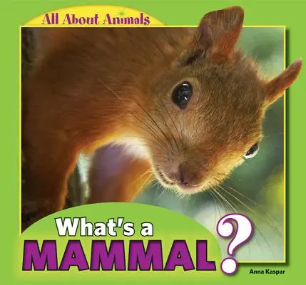 Qu'est-ce qu'un mammifère ? - What's a Mammal?