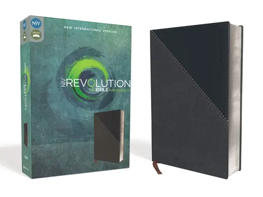 NIV, Bible Revolution, simili cuir, gris/marine : La Bible pour les adolescents - NIV, Revolution Bible, Imitation Leather, Gray/Navy: The Bible for Teen Guys