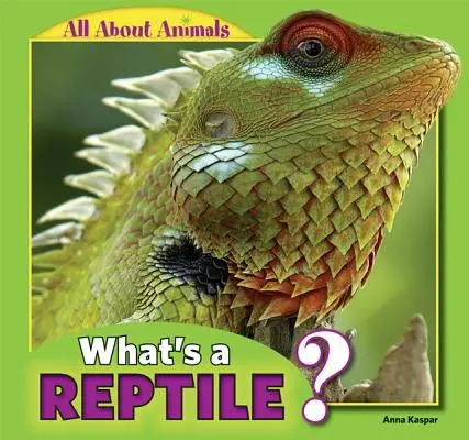 Qu'est-ce qu'un reptile ? - What's a Reptile?