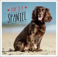 L'amour est un épagneul - Une célébration canine de la race la plus adorable du monde - Love is a Spaniel - A Dog-Tastic Celebration of the World's Most Lovable Breed