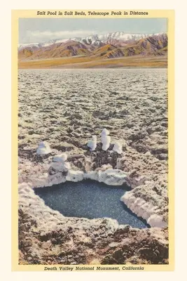 Journal d'époque Piscine salée, Vallée de la mort - The Vintage Journal Salt Pool, Death Valley
