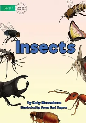 Insectes - Insects