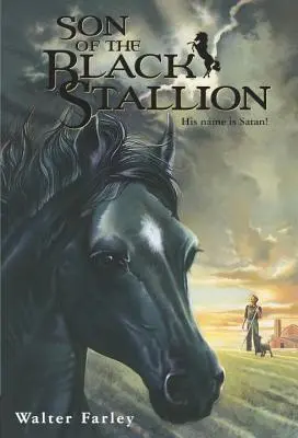 Le fils de l'étalon noir - Son of the Black Stallion