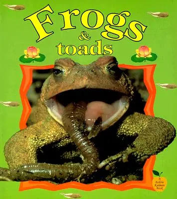 Grenouilles et crapauds - Frogs & Toads