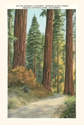 Journal d'époque Parc national de Sequoia - The Vintage Journal Sequoia National Park