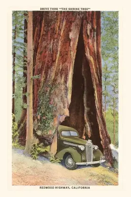 Journal d'époque Voiture traversant Redwood, Californie - The Vintage Journal Car Driving through Redwood, California