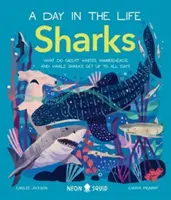 Requins (Une journée dans la vie) - Que font les grands blancs, les requins-marteaux et les requins-baleines toute la journée ? - Sharks (A Day in the Life) - What Do Great Whites, Hammerheads, and Whale Sharks Get Up To All Day?