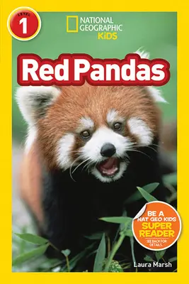 Pandas rouges - Red Pandas