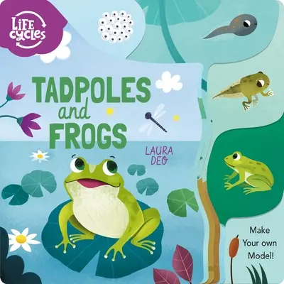 Têtards et grenouilles : Faites votre propre modèle ! - Tadpoles and Frogs: Make Your Own Model!