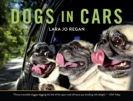 Chiens en voiture - Dogs in Cars