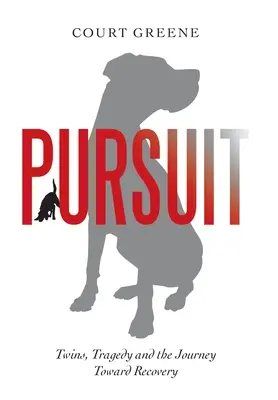 Pursuit : Les jumeaux, la tragédie et le voyage vers la guérison - Pursuit: Twins, Tragedy and the Journey Toward Recovery