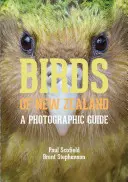 Les oiseaux de Nouvelle-Zélande : Un guide photographique - Birds of New Zealand: A Photographic Guide