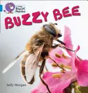 Les abeilles - Buzzy Bees