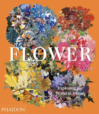 Flower : Explorer le monde en fleurs - Flower: Exploring the World in Bloom