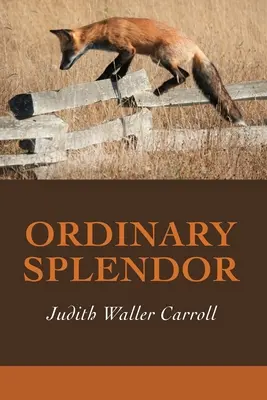 Splendeur ordinaire - Ordinary Splendor