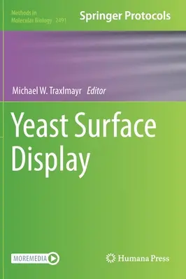 Affichage de la surface de la levure - Yeast Surface Display