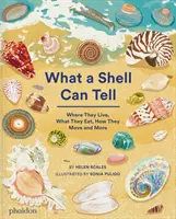 Ce qu'un coquillage peut dire - What A Shell Can Tell