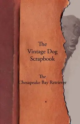 L'album souvenir du chien - Le Retriever de la baie de Chesapeake - The Vintage Dog Scrapbook - The Chesapeake Bay Retriever