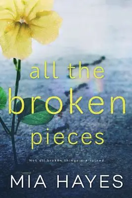 Toutes les pièces brisées - All The Broken Pieces