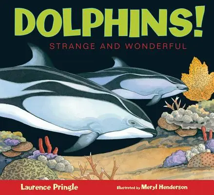 Les dauphins ! - Dolphins!