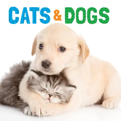 Chats et chiens - Cats & Dogs