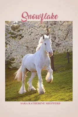 Flocon de neige - Snowflake