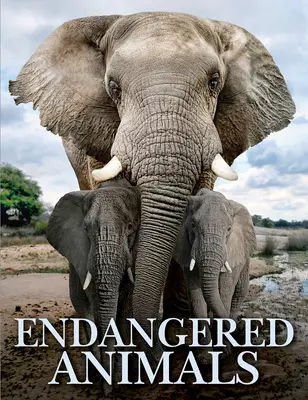 Animaux en voie de disparition - Endangered Animals