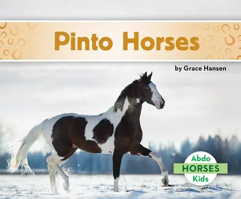 Chevaux Pinto - Pinto Horses