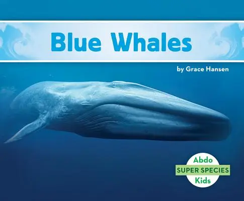 Baleines bleues - Blue Whales