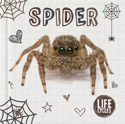 L'araignée - Spider