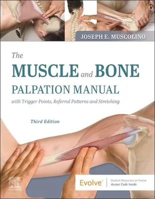 Le manuel de palpation des muscles et des os avec les points de déclenchement, les schémas de référence et les étirements - The Muscle and Bone Palpation Manual with Trigger Points, Referral Patterns and Stretching