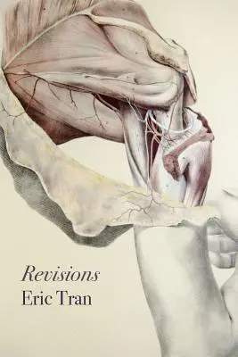 Révisions - Revisions