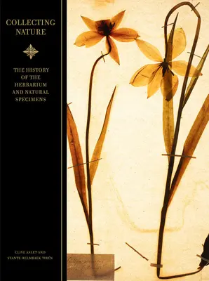 Collectionner la nature : L'histoire de l'herbier et des spécimens naturels - Collecting Nature: The History of the Herbarium and Natural Specimens