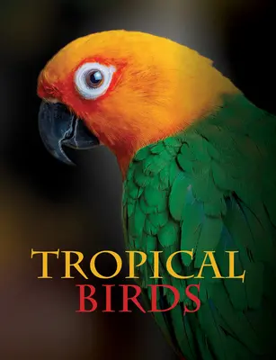 Oiseaux tropicaux - Tropical Birds