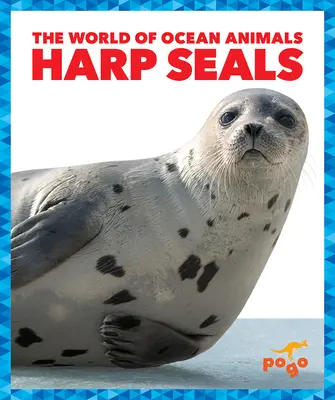 Phoques du Groenland - Harp Seals