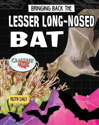 Faire revenir la chauve-souris à long nez - Bringing Back the Lesser Long-Nosed Bat