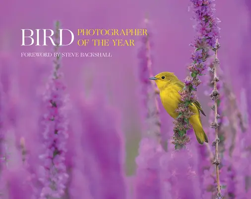 Photographe d'oiseaux de l'année : Collection 7 - Bird Photographer of the Year: Collection 7