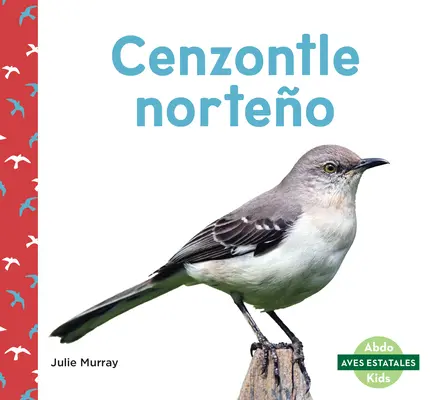 Cenzontle Norteo (Les moqueurs du Nord) - Cenzontle Norteo (Northern Mockingbirds)