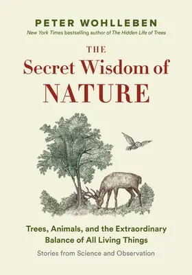 Le réseau secret de la nature : Les arbres, les animaux et l'équilibre extraordinaire de tous les êtres vivants - Histoires tirées de la science et de l'observation - The Secret Network of Nature: Trees, Animals, and the Extraordinary Balance of All Living Things-- Stories from Science and Observation