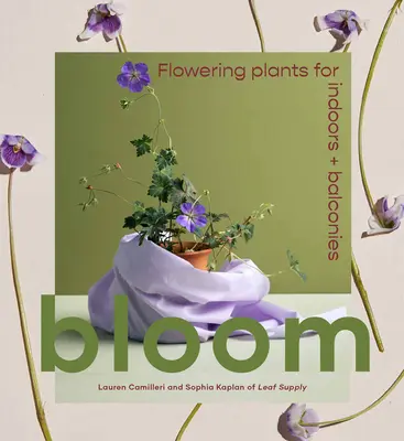 Bloom : Plantes à fleurs pour l'intérieur et les balcons - Bloom: Flowering Plants for Indoors and Balconies