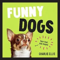 Funny Dogs - Une collection hilarante des chiens les plus stupides du monde et des mèmes les plus racontables. - Funny Dogs - A Hilarious Collection of the World's Silliest Dogs and Most Relatable Memes