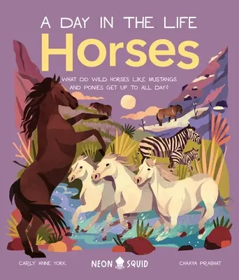 Chevaux (une journée dans la vie) : Que font les chevaux sauvages, les mustangs et les poneys toute la journée ? - Horses (a Day in the Life): What Do Wild Horses Like Mustangs and Ponies Get Up to All Day?