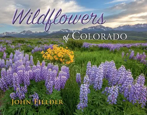 Les fleurs sauvages du Colorado - Wildflowers of Colorado