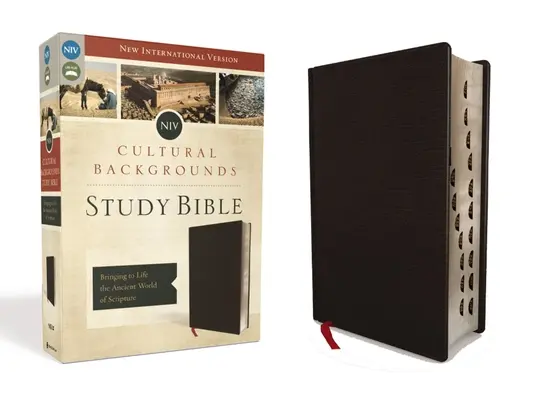 NIV, Bible d'étude sur les contextes culturels, indexée, cuir collé : Le monde antique de l'Écriture, une réalité vivante - NIV, Cultural Backgrounds Study Bible, Indexed, Bonded Leather: Bringing to Life the Ancient World of Scripture