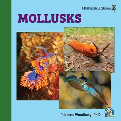 Les mollusques - Mollusks