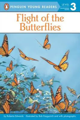 Le vol des papillons - Flight of the Butterflies