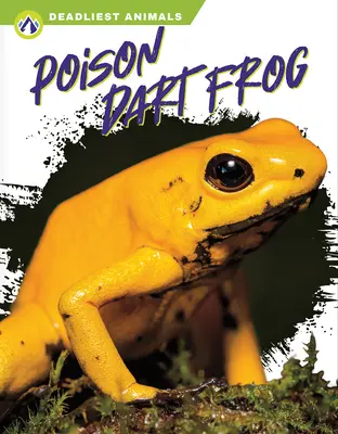 Grenouille à fléchettes - Poison Dart Frog