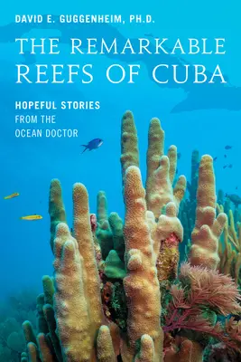 Les récifs remarquables de Cuba : histoires pleines d'espoir du médecin des océans - The Remarkable Reefs of Cuba: Hopeful Stories from the Ocean Doctor